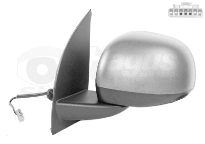 Exterior Mirror (1711817)