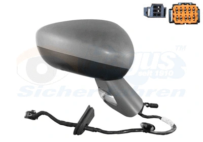 Exterior Mirror (0963828)