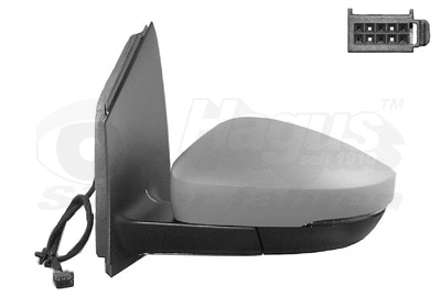 Exterior Mirror (5829813)