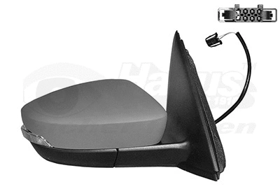 Exterior Mirror (7629818)