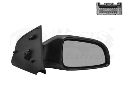 Exterior Mirror (3746808)