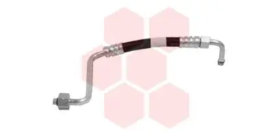 Coolant Pipe (98005001)