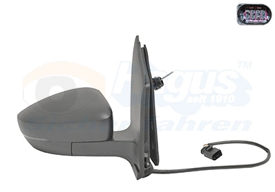 Exterior Mirror (5702804)