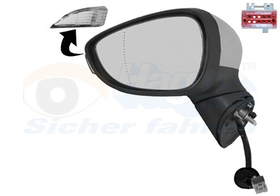 Exterior Mirror (1808817)