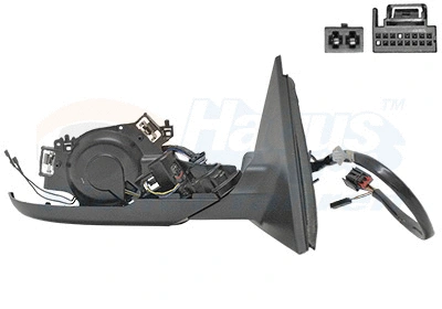 Exterior Mirror (0307860)