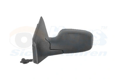 Exterior Mirror (4331803)