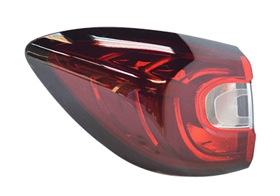 Tail Light Assembly (4384921)