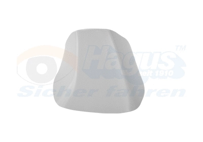 Cover, exterior mirror (3872846)
