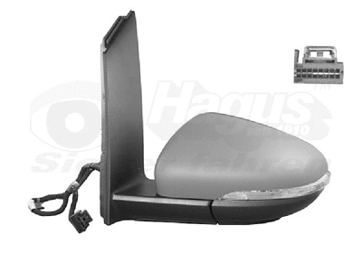 Exterior Mirror (5735817)