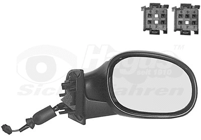 Exterior Mirror (0927820)