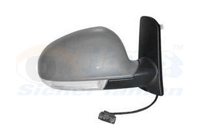 Exterior Mirror (5879808)