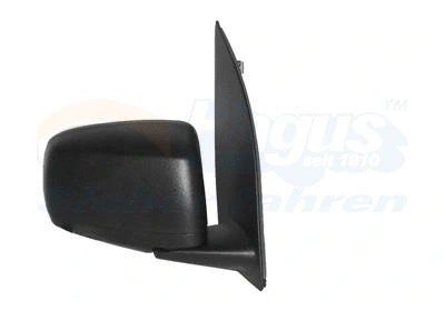 Exterior Mirror (1709802)