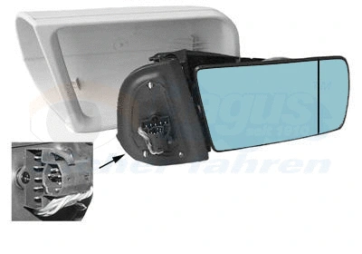 Exterior Mirror (3031818)