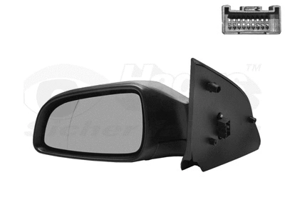 Exterior Mirror (3746817)
