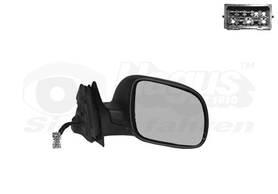 Exterior Mirror (0323818)