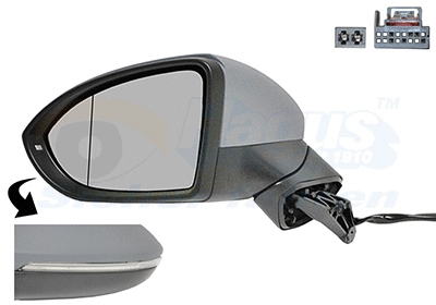 Exterior Mirror (5769807)