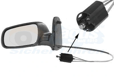 Exterior Mirror (5878803)