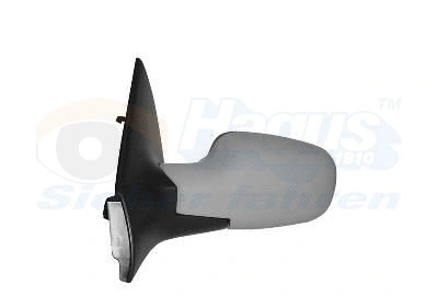 Exterior Mirror (4327807)