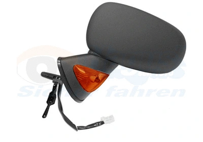 Exterior Mirror (4366803)