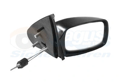 Exterior Mirror (1830814)