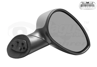 Exterior Mirror (1604816)