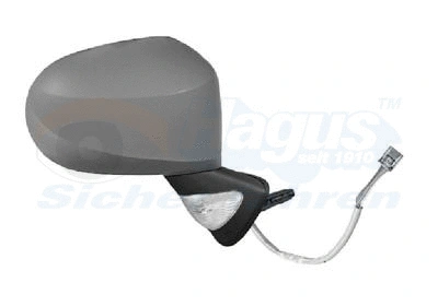 Exterior Mirror (4367808)