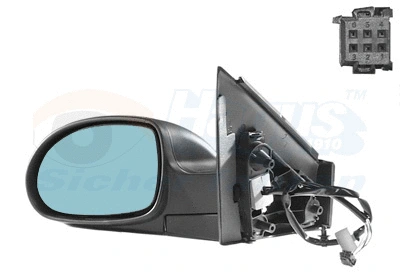 Exterior Mirror (0961809)