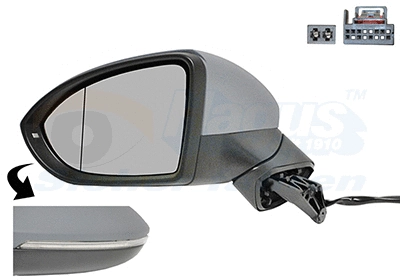 Exterior Mirror (5769817)
