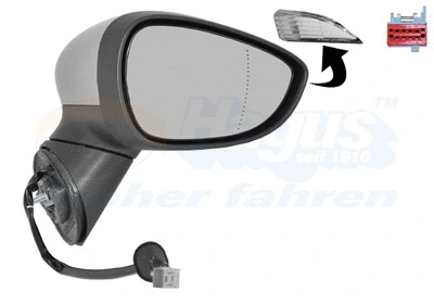 Exterior Mirror (1801818)