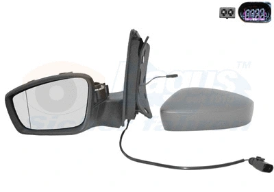 Exterior Mirror (5701807)