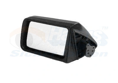 Exterior Mirror (3770801)