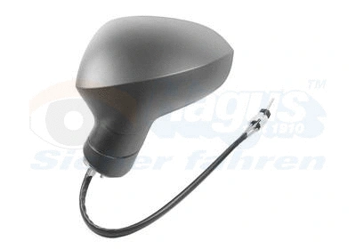 Exterior Mirror (4919803)