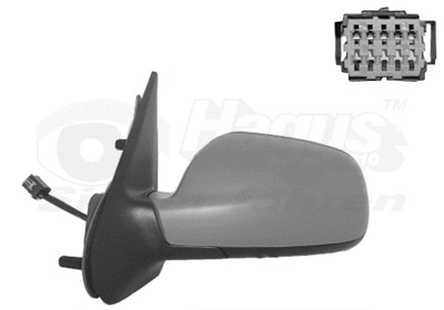 Exterior Mirror (0956805)