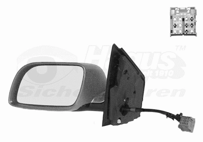 Exterior Mirror (5827807)