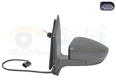 Exterior Mirror (5702803)