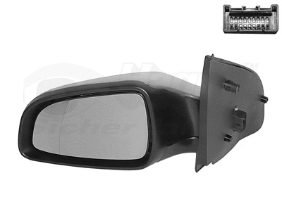 Exterior Mirror (3745817)
