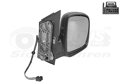 Exterior Mirror (5867808)
