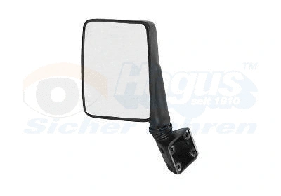 Exterior Mirror (1745802)
