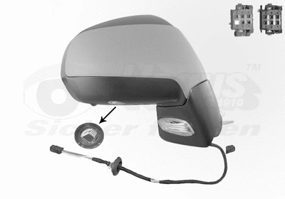 Exterior Mirror (4076818)