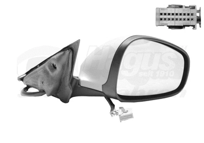 Exterior Mirror (0160808)