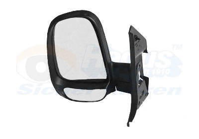 Exterior Mirror (1897801)