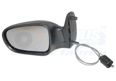 Exterior Mirror (1867803)