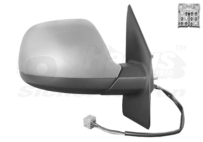 Exterior Mirror (5790818)