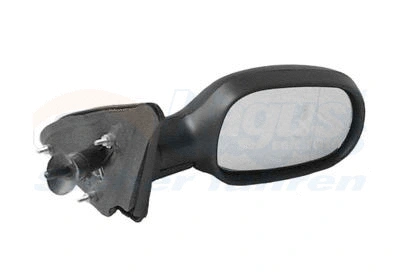 Exterior Mirror (4325804)