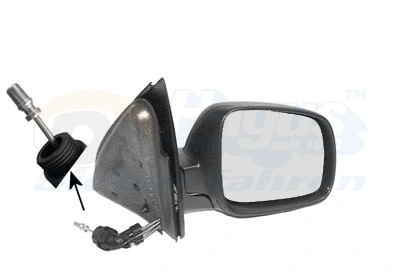 Exterior Mirror (4903804)