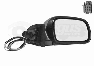 Exterior Mirror (4040818)