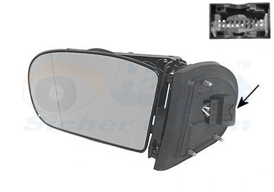 Exterior Mirror (3032827)