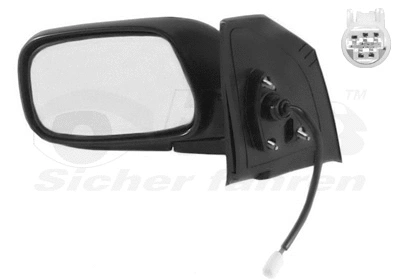 Exterior Mirror (5393807)