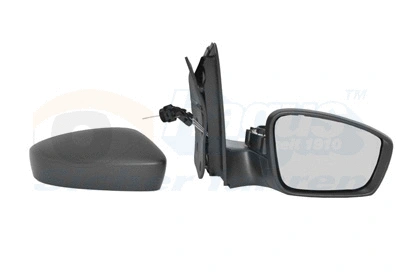 Exterior Mirror (5701804)