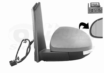 Exterior Mirror (5776807)